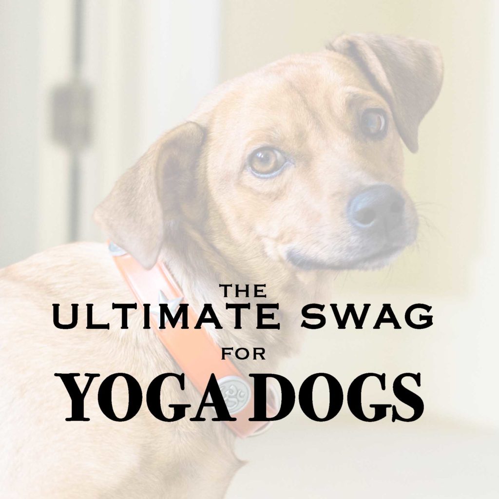 The Ultimate Swag for Yoga Dogs